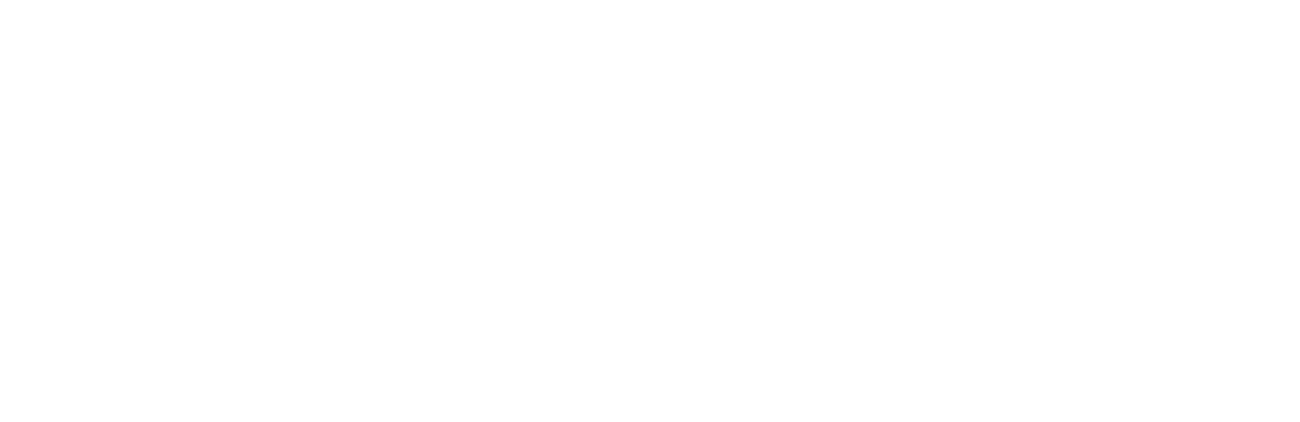 WERNER companies GmbH